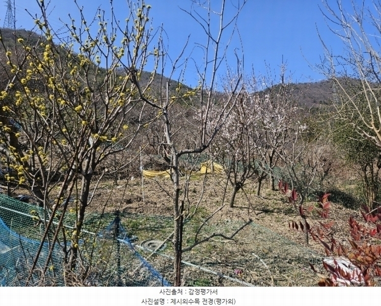 2024타경100127 경상남도 창원시 마산합포구 진동면 태봉리 598-1 농지 경매 이미지