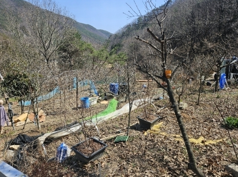 2024타경100127 경상남도 창원시 마산합포구 진동면 태봉리 598-1 농지 경매 이미지