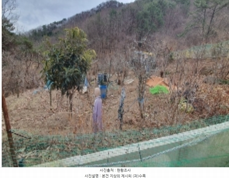 2024타경100127 경상남도 창원시 마산합포구 진동면 태봉리 598-1 농지 경매 이미지