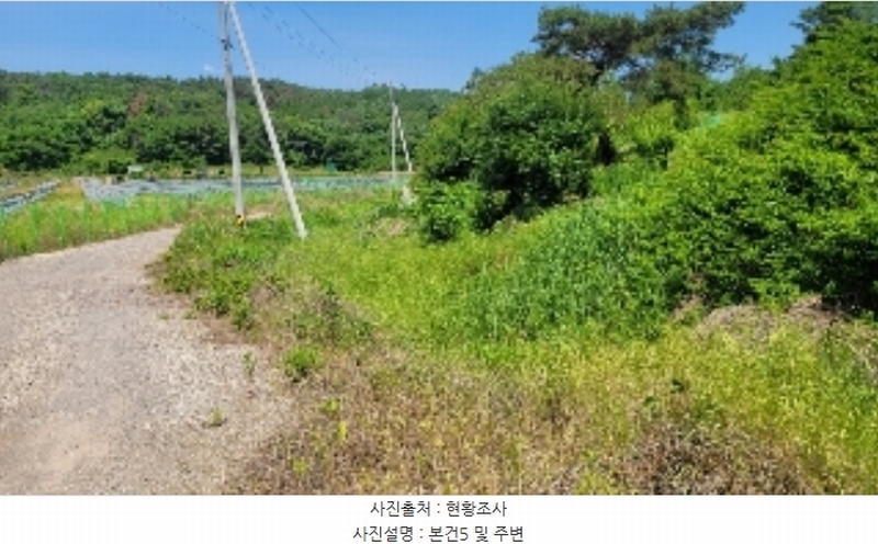 2024타경102635 경상남도 함안군 법수면 백산리 503 농지 경매 이미지