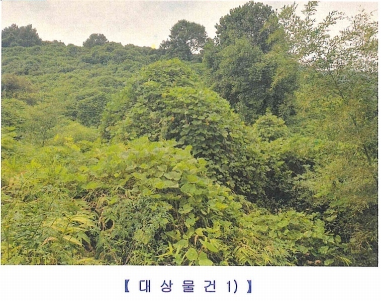 2024타경104716 경상남도 창원시 마산합포구 구산면 마전리 404 주택 경매 이미지