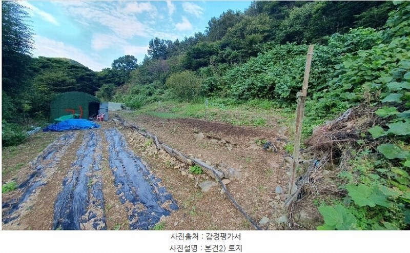 2024타경105313 경상남도 창원시 마산합포구 진전면 고사리 164 농지 경매 이미지