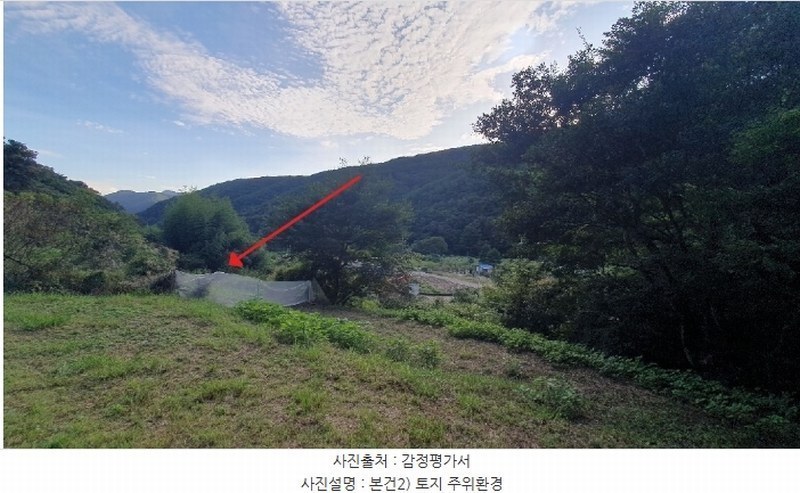 2024타경105313 경상남도 창원시 마산합포구 진전면 고사리 164 농지 경매 이미지