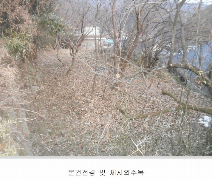 2024타경106200 경상남도 창원시 마산회원구 내서읍 삼계리 1067-1 농지 경매 이미지