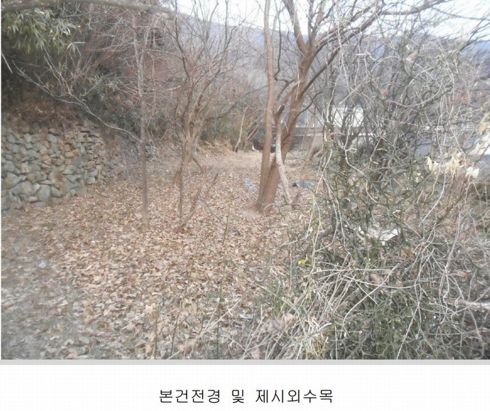 2024타경106200 경상남도 창원시 마산회원구 내서읍 삼계리 1067-1 농지 경매 이미지