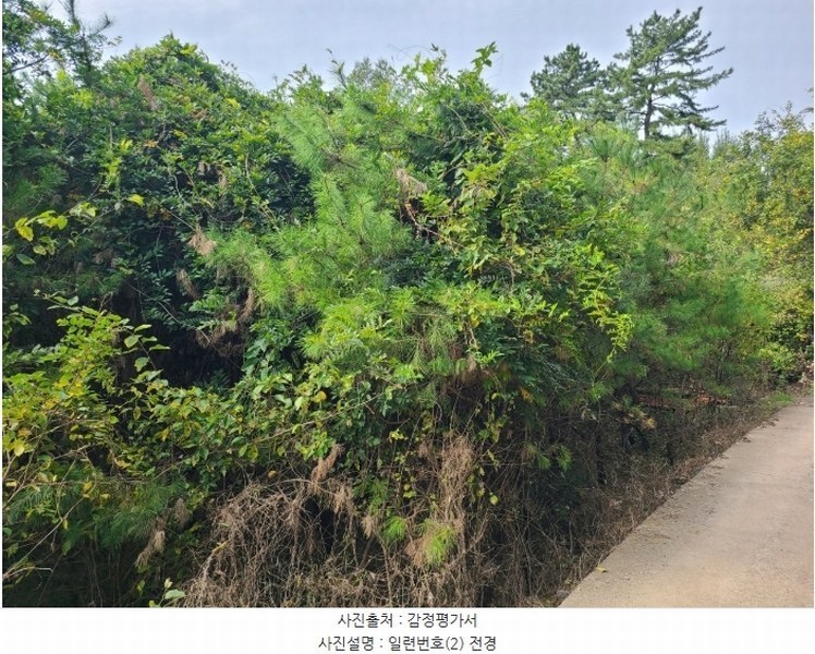 2024타경106361 경상남도 함안군 법수면 윤외리 929 창고 경매 이미지