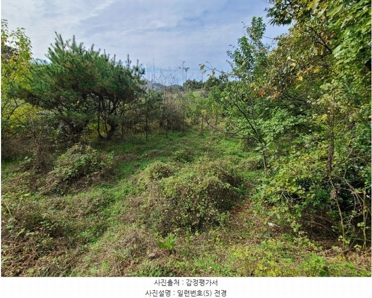 2024타경106361 경상남도 함안군 법수면 윤외리 929 창고 경매 이미지