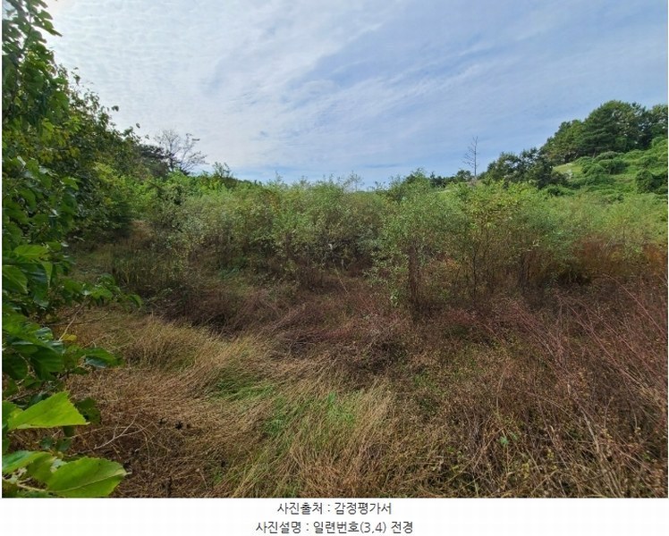 2024타경106361 경상남도 함안군 법수면 윤외리 929 창고 경매 이미지