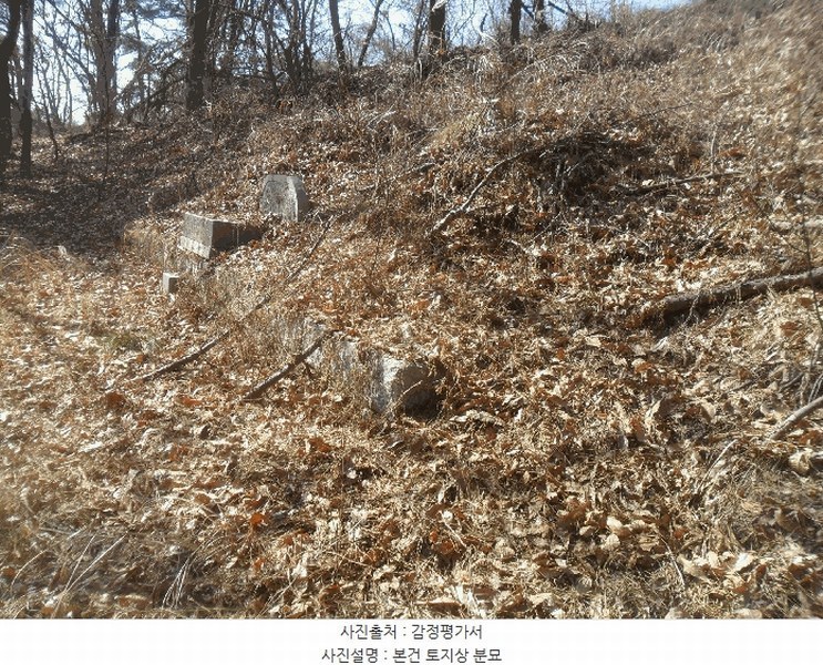 2024타경106415 경상남도 함안군 법수면 윤외리 954 묘지 경매 이미지