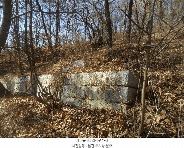 2024타경106415 경상남도 함안군 법수면 윤외리 954 묘지 경매 이미지