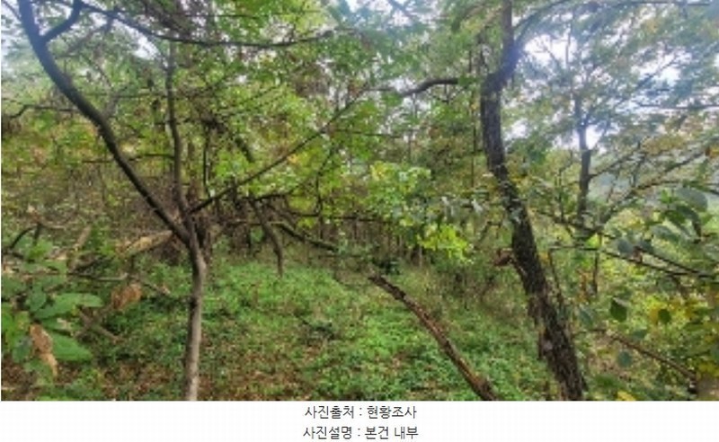 2024타경106415 경상남도 함안군 법수면 윤외리 954 묘지 경매 이미지