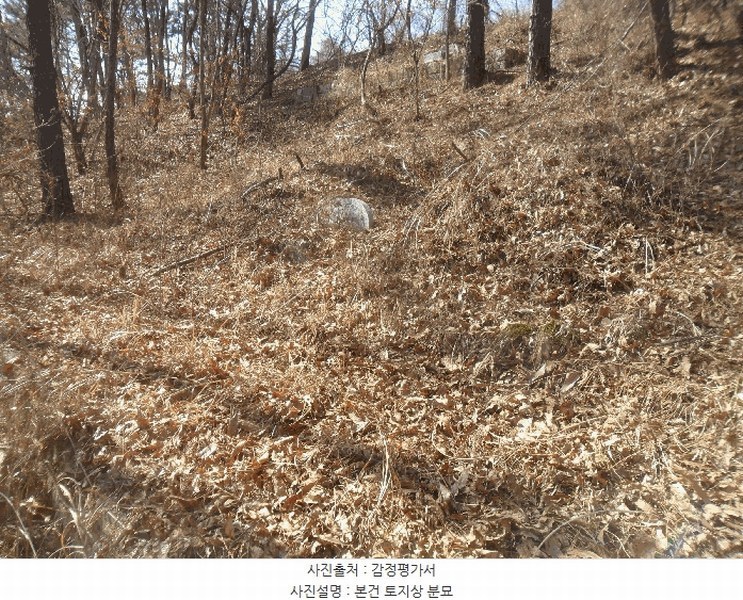 2024타경106415 경상남도 함안군 법수면 윤외리 954 묘지 경매 이미지