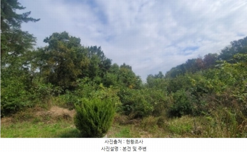2024타경106415 경상남도 함안군 법수면 윤외리 954 묘지 경매 이미지