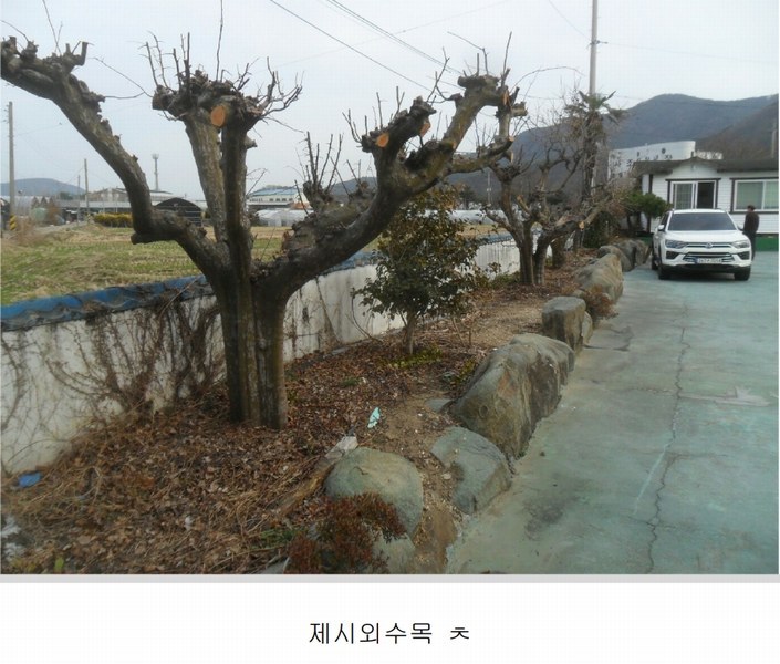 2024타경106514 경상남도 창원시 마산합포구 진전면 오서리 388 창고 경매 이미지
