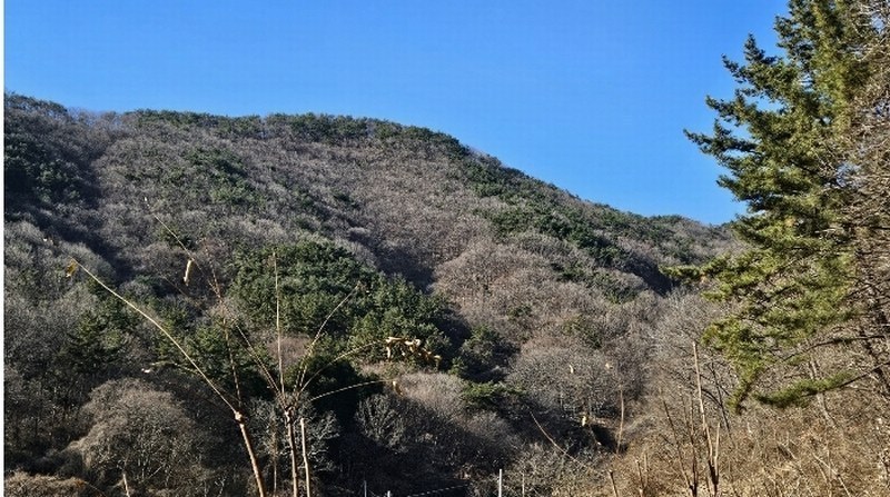 2024타경107364 경상남도 창원시 마산합포구 진동면 동전리 산364 임야 경매 이미지