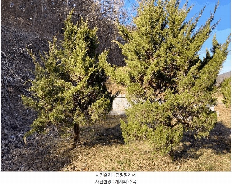 2024타경107463 경상남도 함안군 산인면 입곡리 907-4 농지 경매 이미지