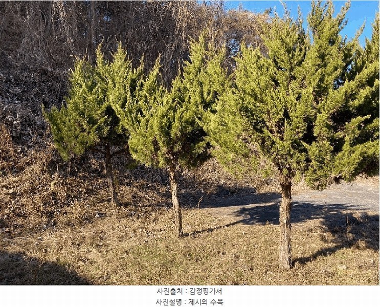 2024타경107463 경상남도 함안군 산인면 입곡리 907-4 농지 경매 이미지