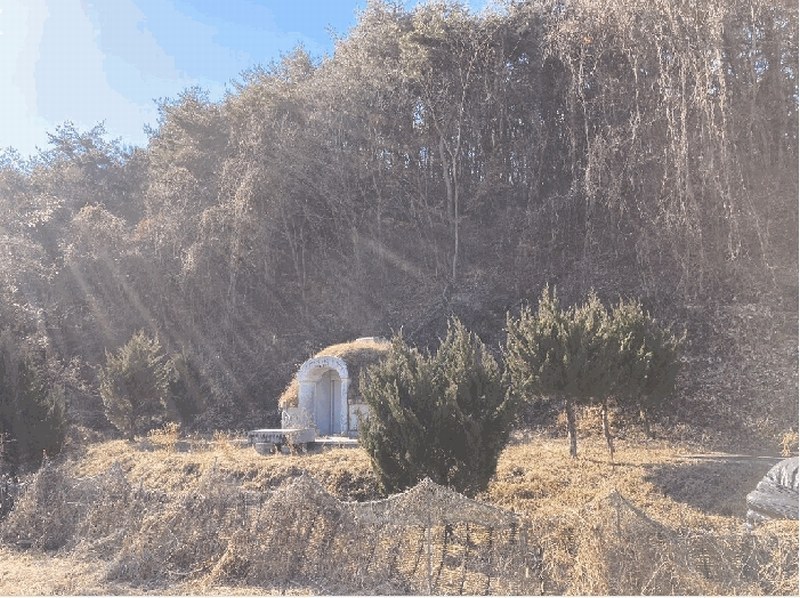 2024타경107463 경상남도 함안군 산인면 입곡리 907-4 농지 경매 이미지