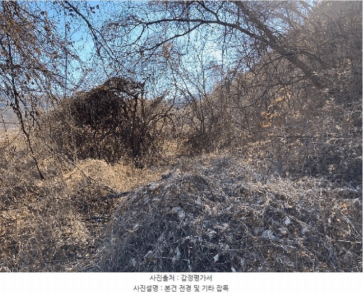 2024타경107463 경상남도 함안군 산인면 입곡리 907-4 농지 경매 이미지