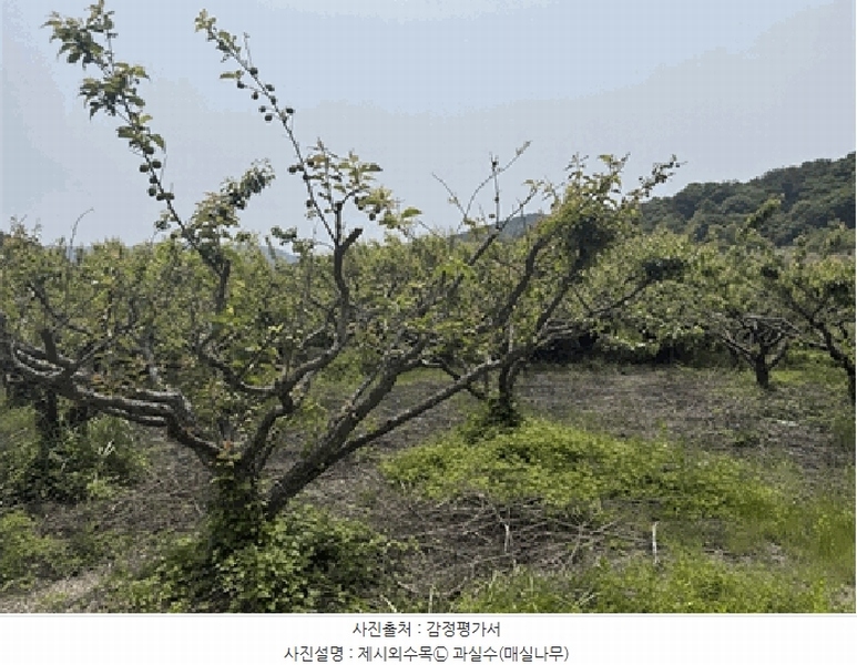 2025타경211 경상남도 창원시 마산합포구 구산면 내포리 6-3 농지 경매 이미지