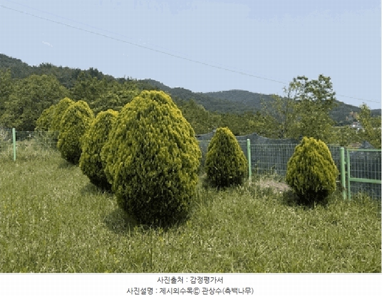 2025타경211 경상남도 창원시 마산합포구 구산면 내포리 6-3 농지 경매 이미지