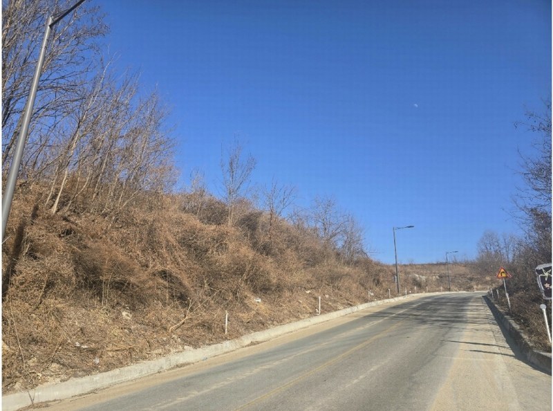 2025타경10075 경상북도 영주시 풍기읍 산법리 137 농지 경매 이미지