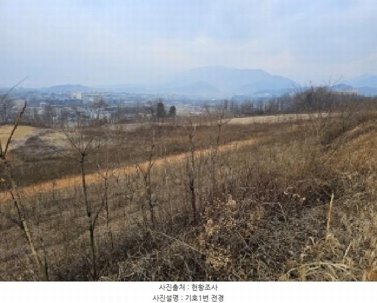 2025타경10075 경상북도 영주시 풍기읍 산법리 137 농지 경매 이미지