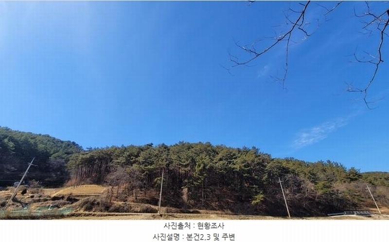 2025타경20327 경상남도 함안군 가야읍 혈곡리 산177 임야 경매 이미지