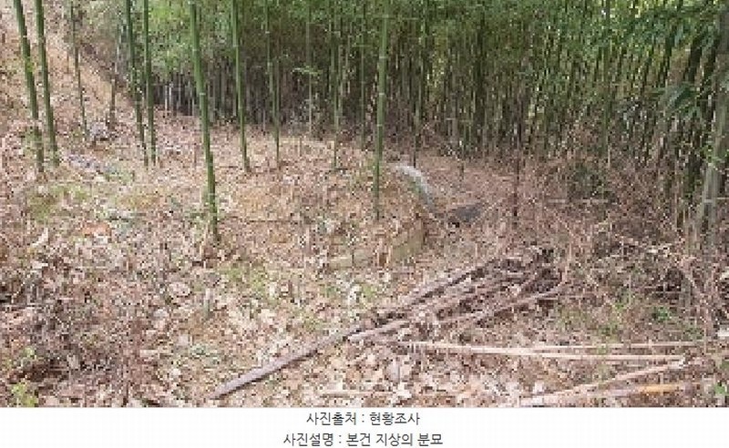 2025타경20434 경상남도 창원시 마산합포구 진동면 고현리 620 농지 경매 이미지
