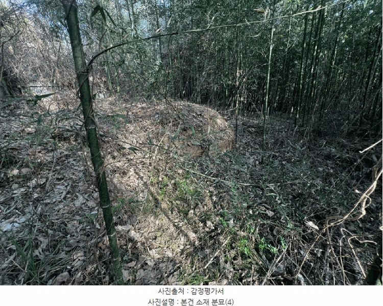 2025타경20434 경상남도 창원시 마산합포구 진동면 고현리 620 농지 경매 이미지