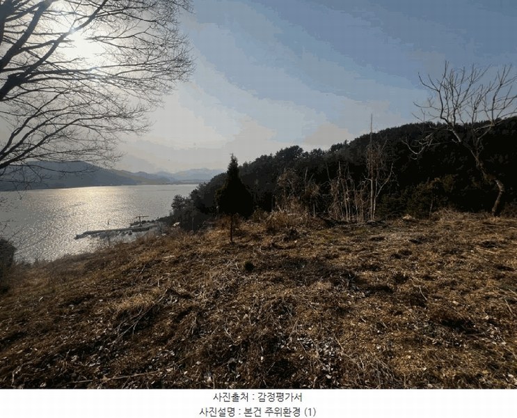 2025타경20434 경상남도 창원시 마산합포구 진동면 고현리 620 농지 경매 이미지