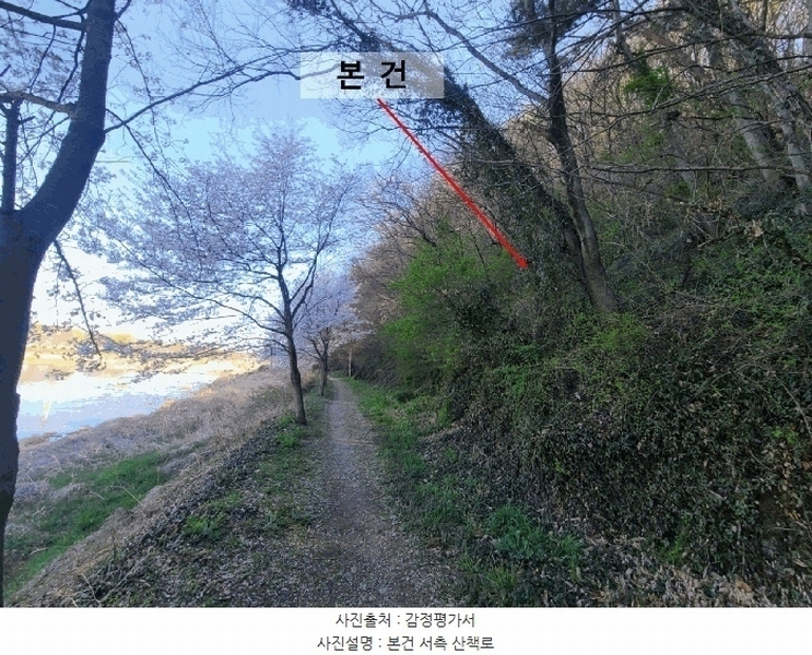 2025타경20479 경상남도 함안군 가야읍 검암리 산42-1 임야 경매 이미지