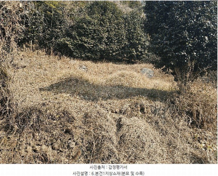 2025타경20484 경상남도 거제시 하청면 연구리 597-3 임야 경매 이미지