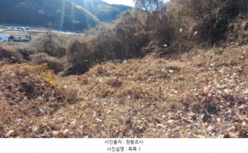 2025타경20484 경상남도 거제시 하청면 연구리 597-3 임야 경매 이미지
