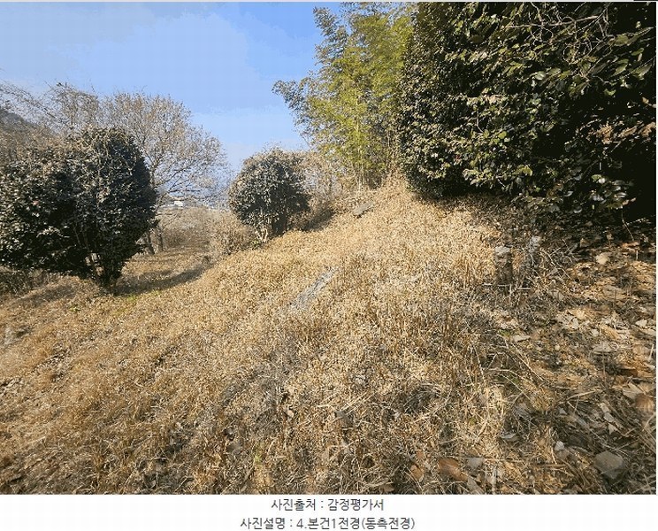 2025타경20484 경상남도 거제시 하청면 연구리 597-3 임야 경매 이미지