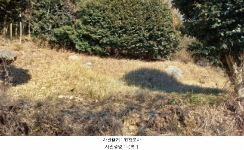 2025타경20484 경상남도 거제시 하청면 연구리 597-3 임야 경매 이미지