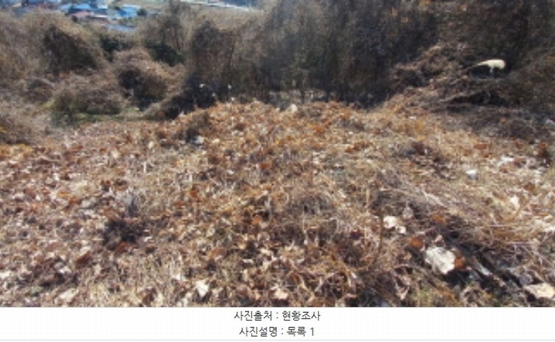 2025타경20484 경상남도 거제시 하청면 연구리 597-3 임야 경매 이미지