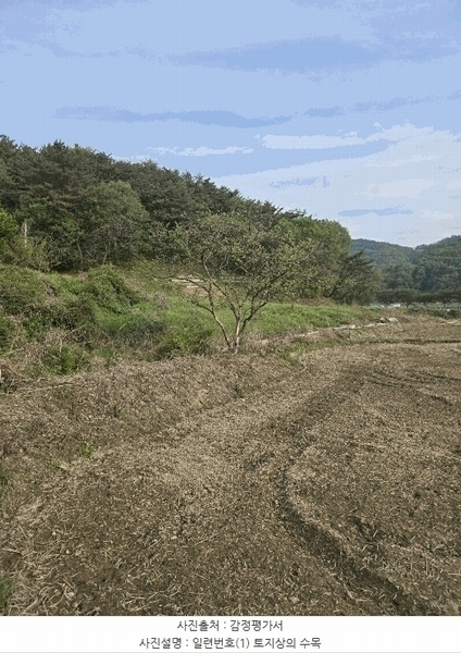 2025타경20527 경상남도 함안군 대산면 옥렬리 1018-2 농지 경매 이미지