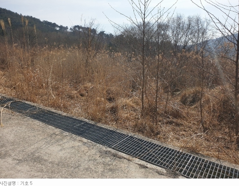 2022타경929 경상남도 산청군 신안면 안봉리 산24-19 임야 경매 이미지