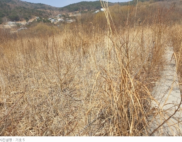 2022타경929 경상남도 산청군 신안면 안봉리 산24-19 임야 경매 이미지