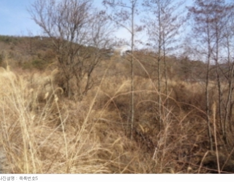 2022타경929 경상남도 산청군 신안면 안봉리 산24-19 임야 경매 이미지