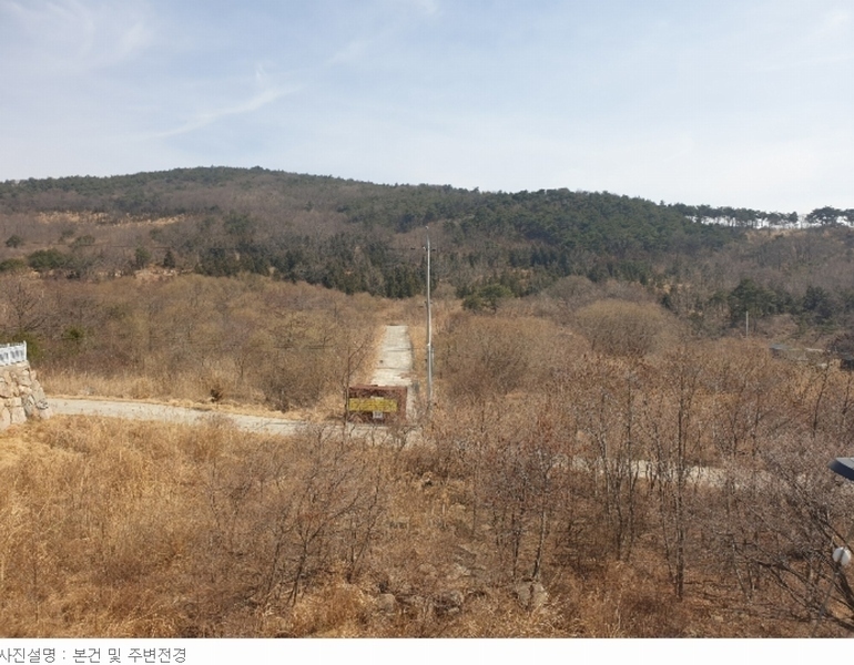 2022타경929 경상남도 산청군 신안면 안봉리 산24-19 임야 경매 이미지