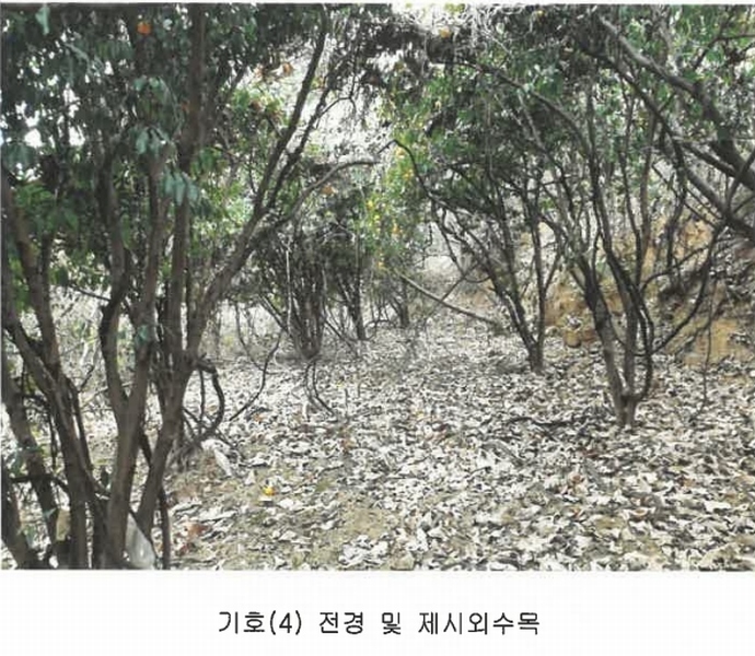 2022타경37075 경상남도 남해군 서면 정포리 925 농지 경매 이미지