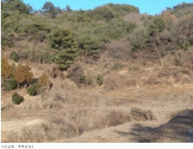 2022타경37075 경상남도 남해군 서면 정포리 925 농지 경매 이미지