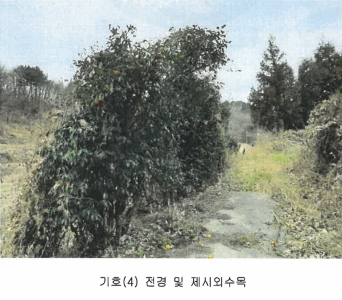 2022타경37075 경상남도 남해군 서면 정포리 925 농지 경매 이미지