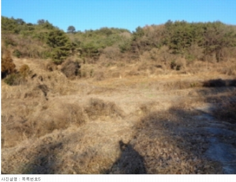 2022타경37075 경상남도 남해군 서면 정포리 925 농지 경매 이미지