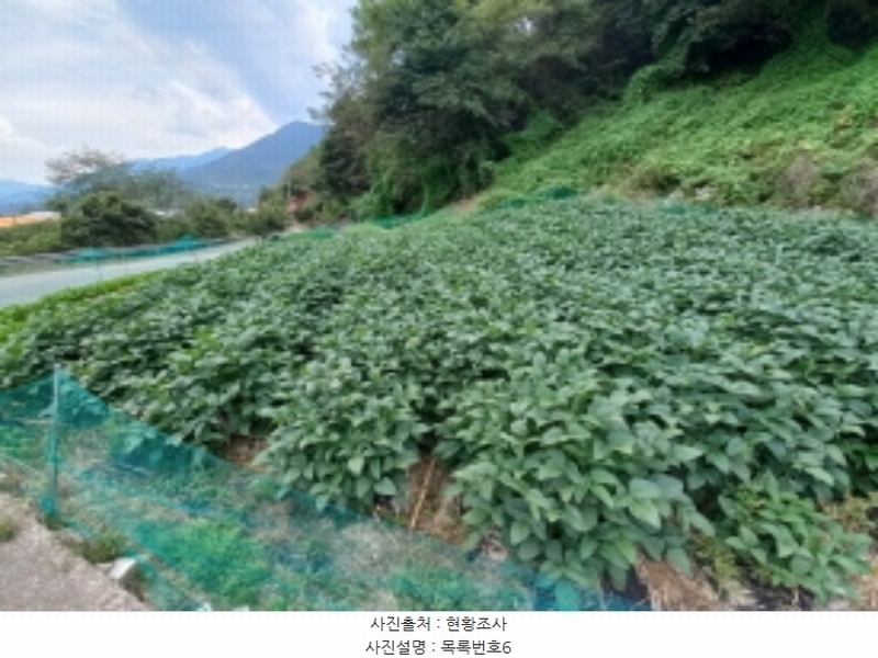 2023타경4621 경상남도 산청군 금서면 매촌리 1117-2 농지 경매 이미지
