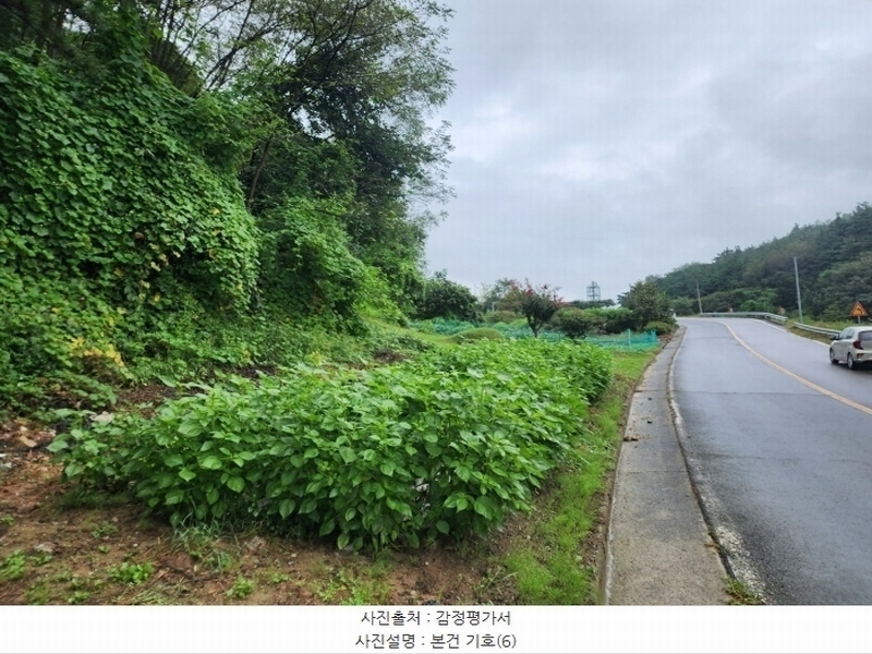 2023타경4621 경상남도 산청군 금서면 매촌리 1117-2 농지 경매 이미지