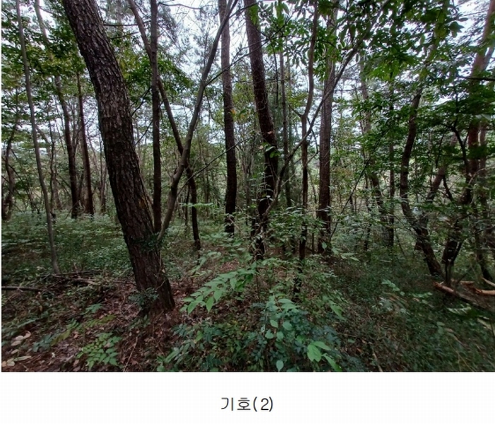 2023타경36895 경상남도 진주시 지수면 압사리 산101 임야 경매 이미지
