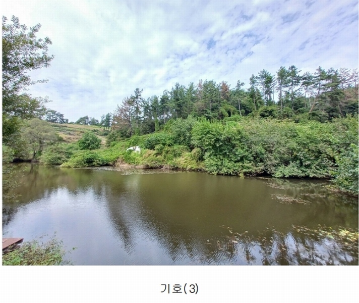 2023타경36895 경상남도 진주시 지수면 압사리 산101 임야 경매 이미지